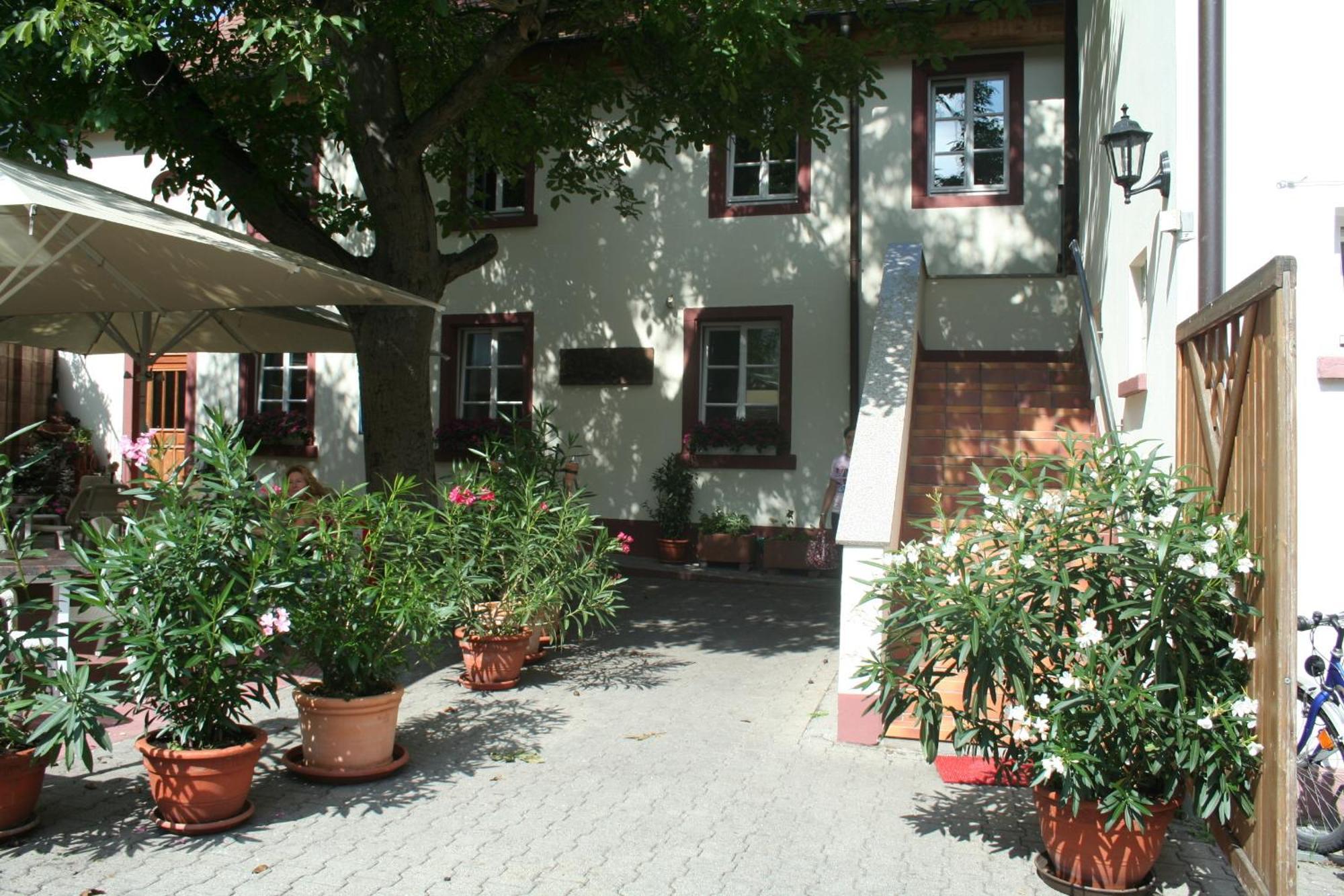 Hotel - Ristorante La Grotta شباير المظهر الخارجي الصورة